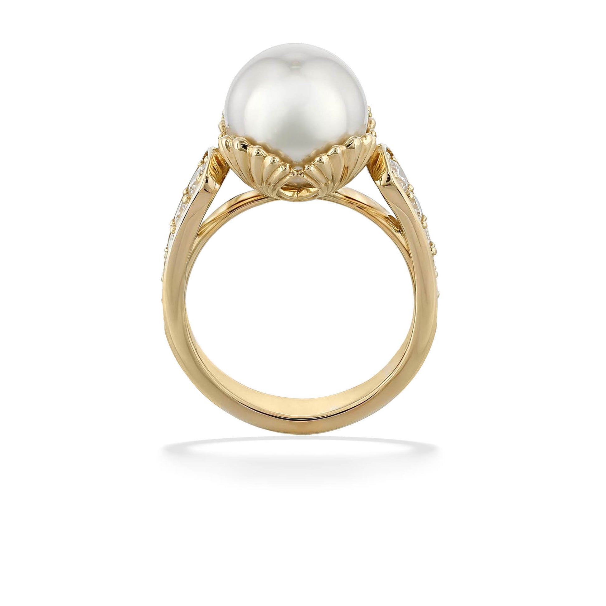 45045 - 14K Yellow Gold - White South Sea Pearl Shell Ring