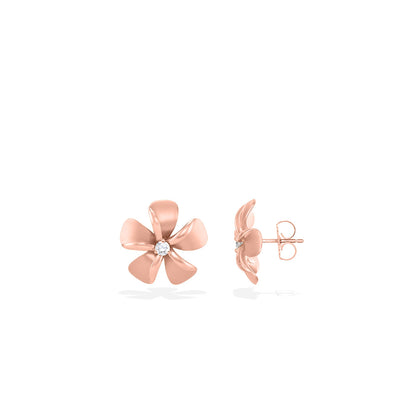 19910 - 14K Rose Gold - Plumeria Stud Earrings