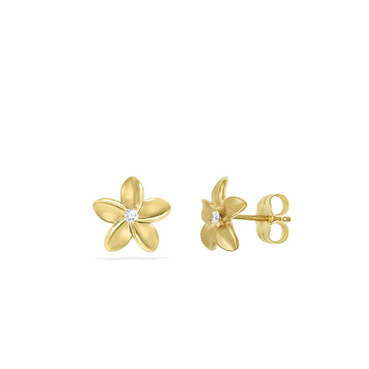 41081 - 14K Yellow Gold - Plumeria Stud Earrings