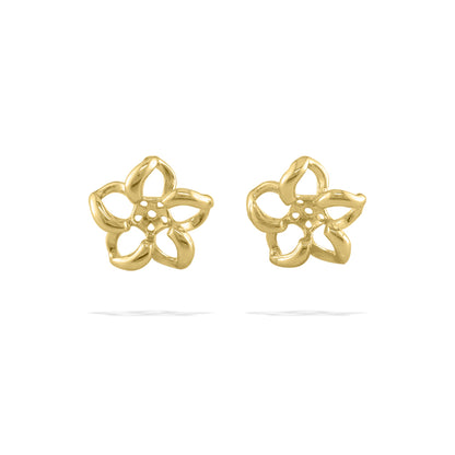 40625 - 14K Yellow Gold - Floating Plumeria Earring Jackets