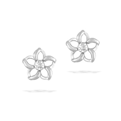 40626 - 14K White Gold - Floating Plumeria Earring Jackets